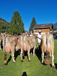 Schneuter Khe 2  3 Lakt